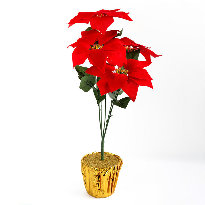 Decorative Poinsettia Plant Arrangement Stornfield