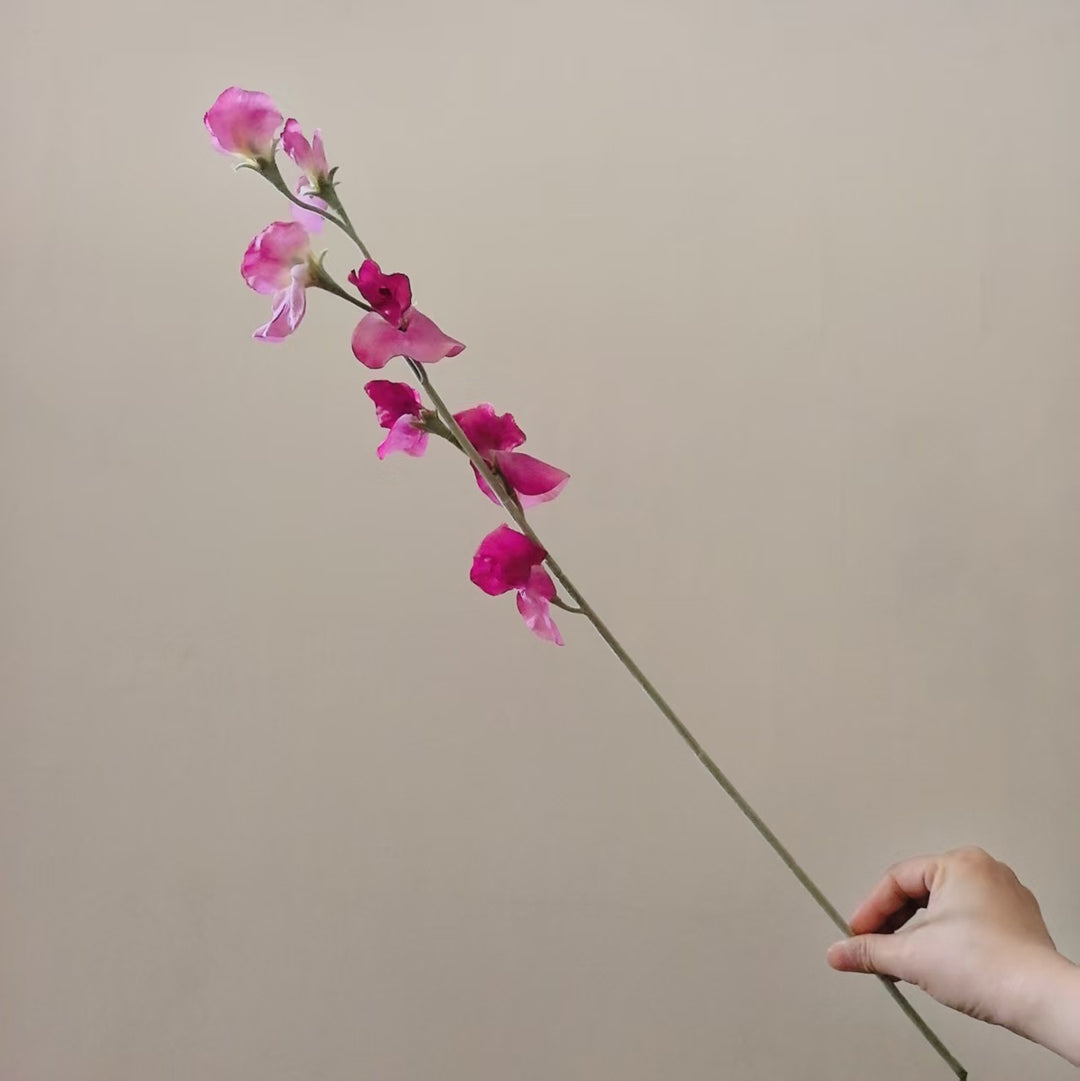 Elegant Silk Sweet Pea Stem