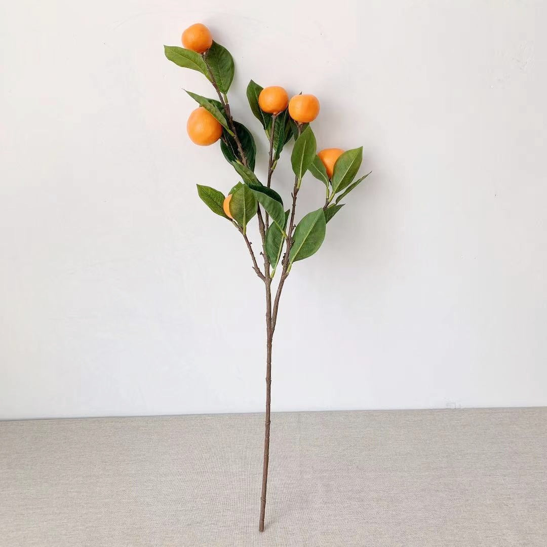 Decorative Citrus Fruit Stem