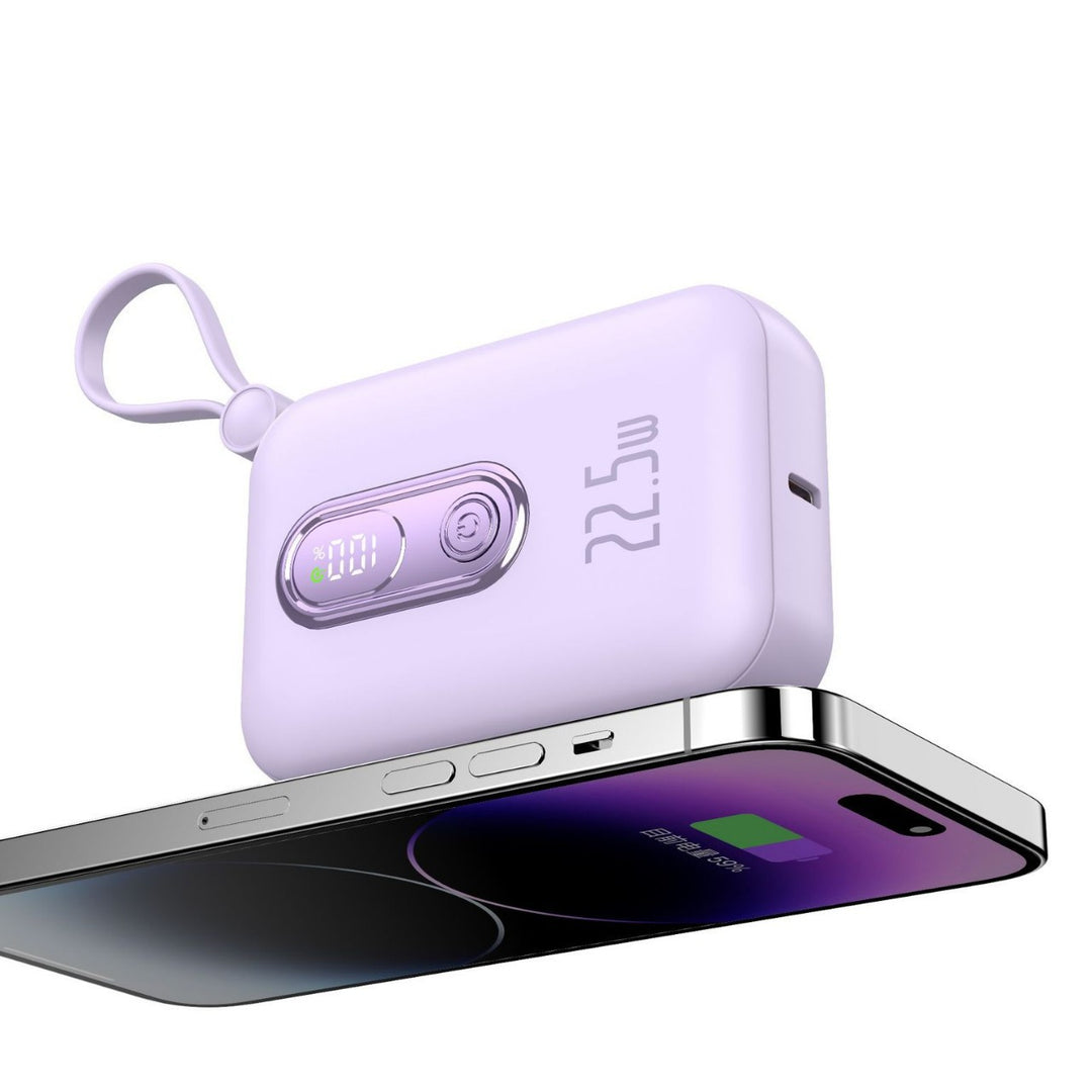 Portable power bank with integrated USB-C port and digital charge status display Stornfield