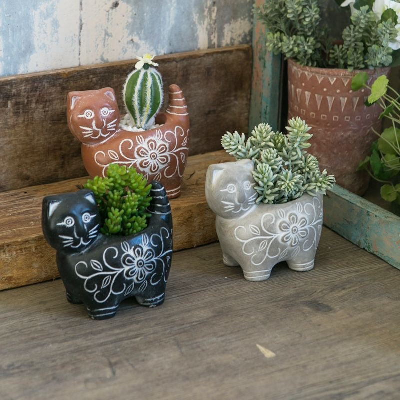Decorative Plant Stornfield