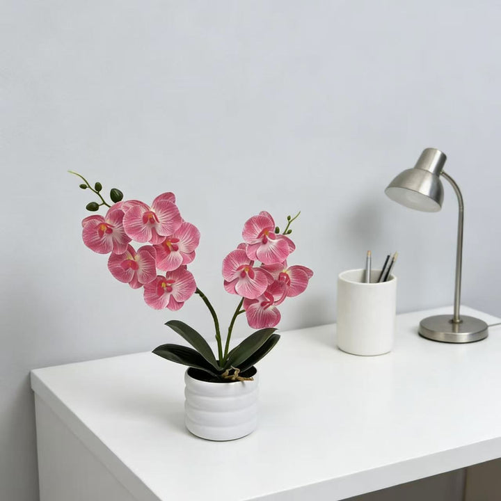 Lifelike Orchid Décor