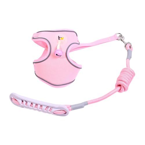 Pet harness with leash Stornfield