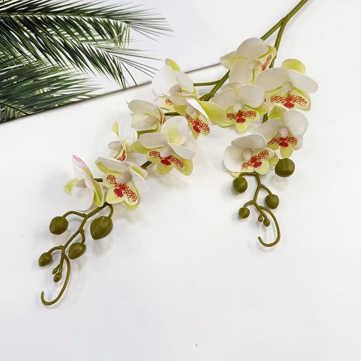 Realistic Orchid Flower Stem