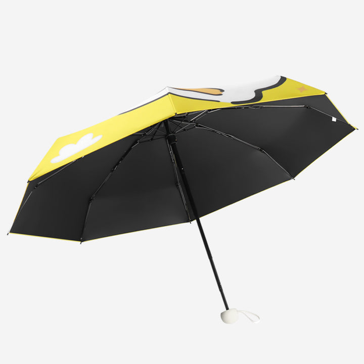 Women's compact and wind-resistant folding umbrella with practical carrying case Stornfield
