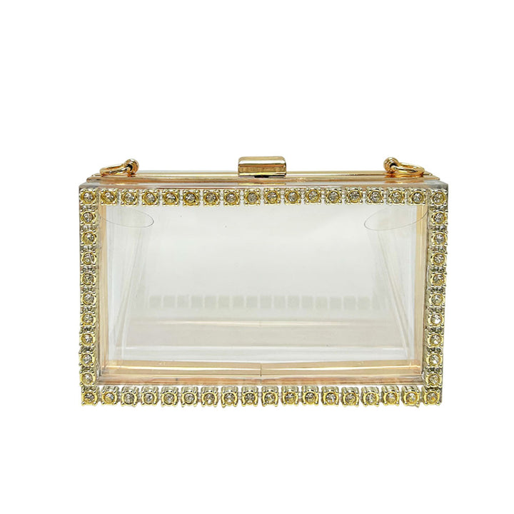Crystal-Accented Clear Evening Clutch