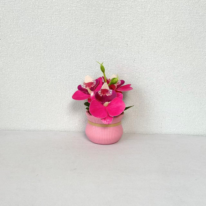 Decorative Potted Orchid Arrangement for Home Decor