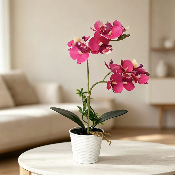 Artificial Orchid Arrangement for Decorative Indoor Display