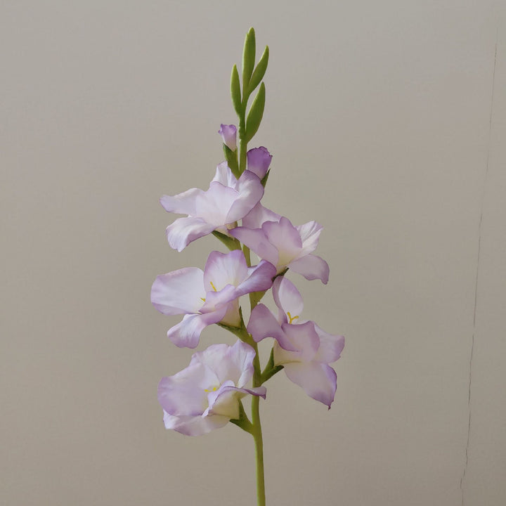 Orchid Floral Stem