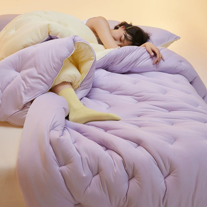Plush Hypoallergenic Reversible Comforter