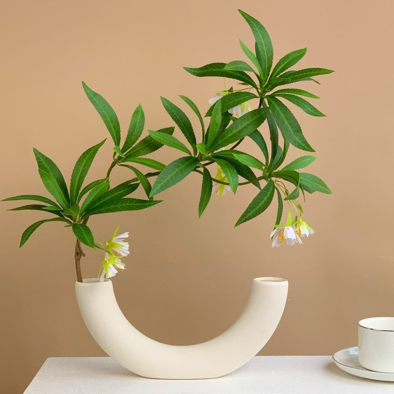 Artistic Curved Vase for Home Decor Display