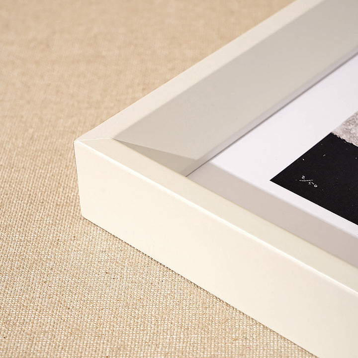 Premium Framed Artwork Display