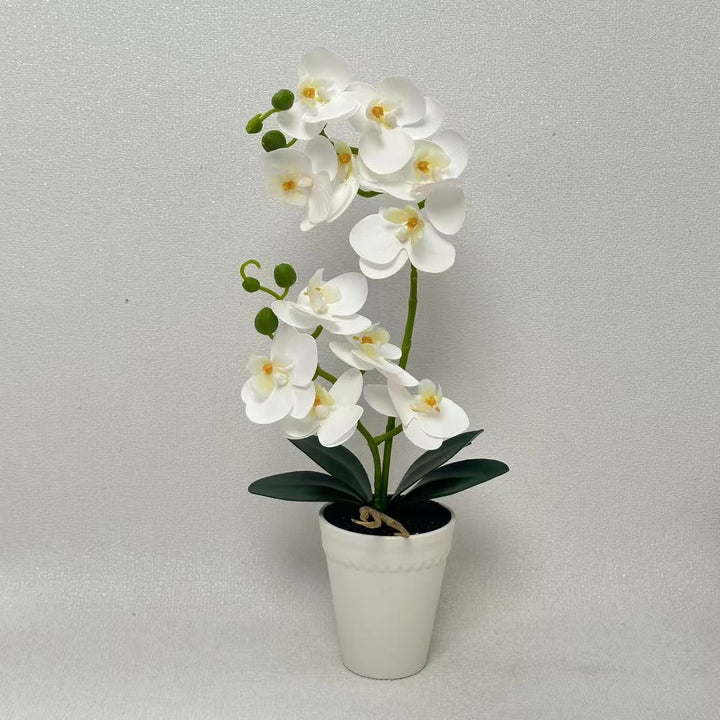 Elegant Faux Orchid Plant Display