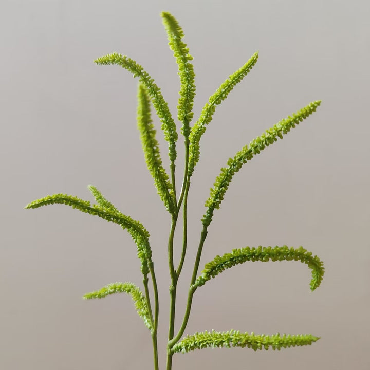 Decorative Green Plant Stem