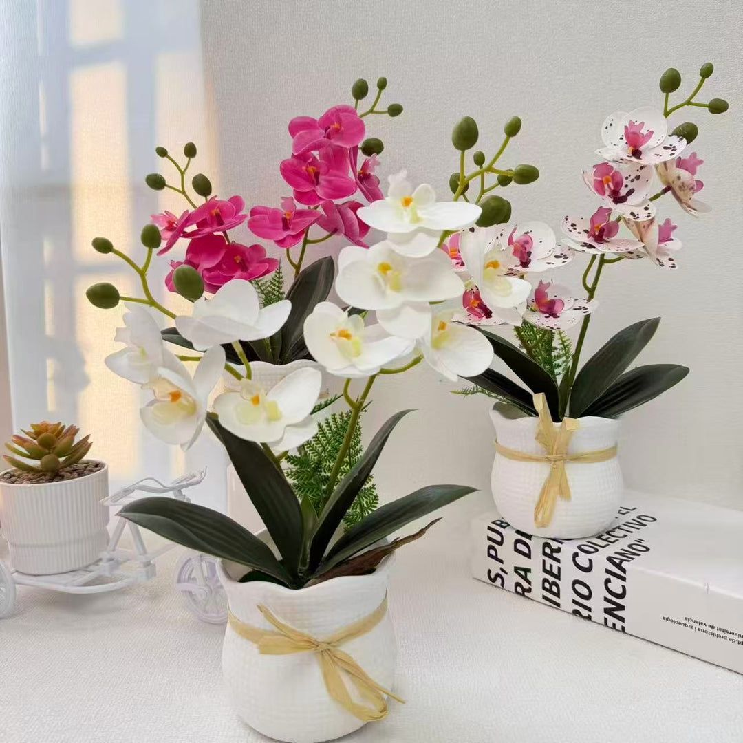 Realistic Decorative Orchid Plant