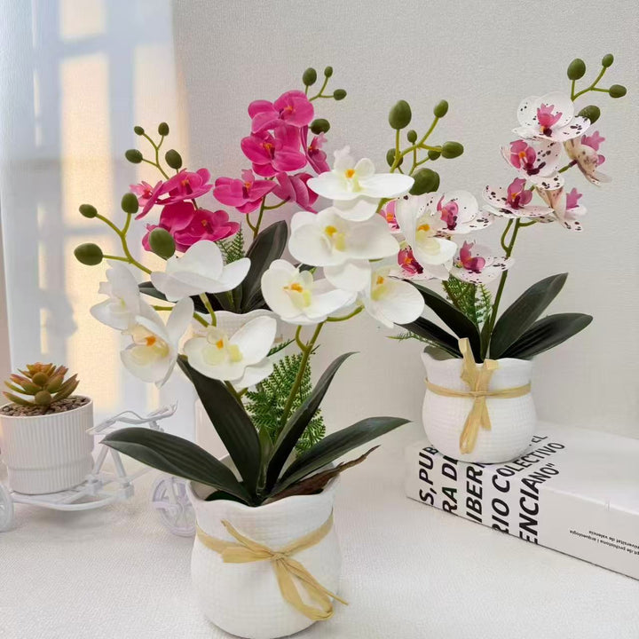 Realistic Decorative Orchid Plant