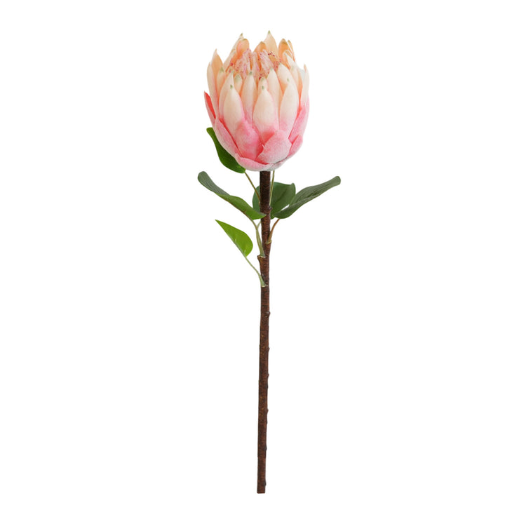 Artificial Protea Flower Stornfield