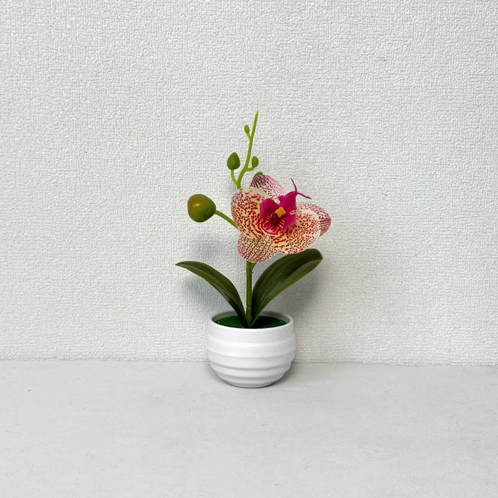Lifelike Orchid Flower Pot Decoration