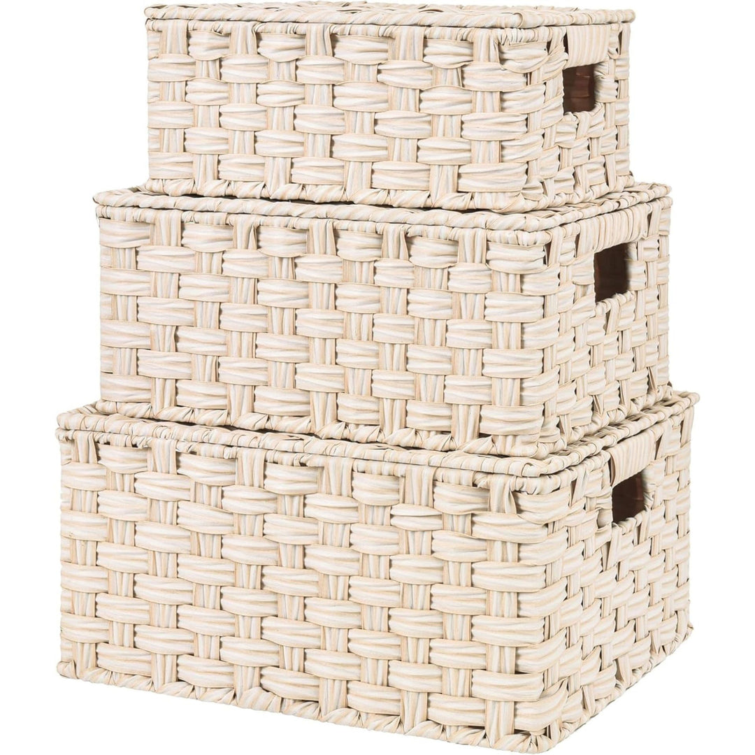 Handwoven Storage Baskets Set Stornfield