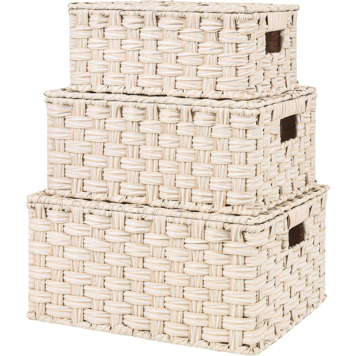 Handwoven Storage Baskets Set Stornfield
