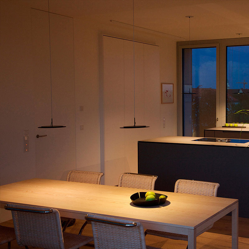 Contemporary Overhead Hanging Light