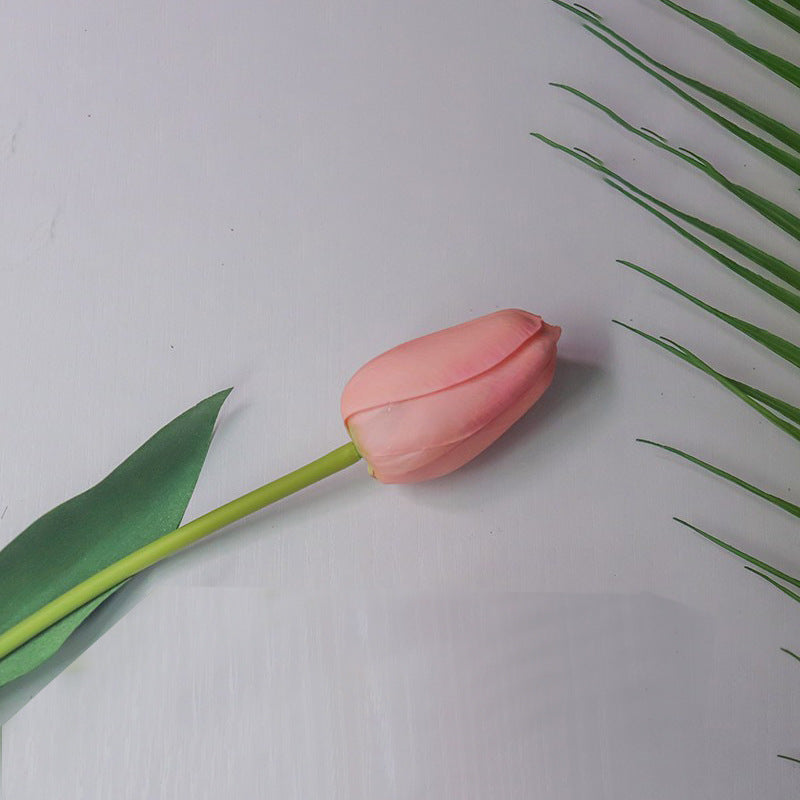 Realistic Tulip Flower Stem