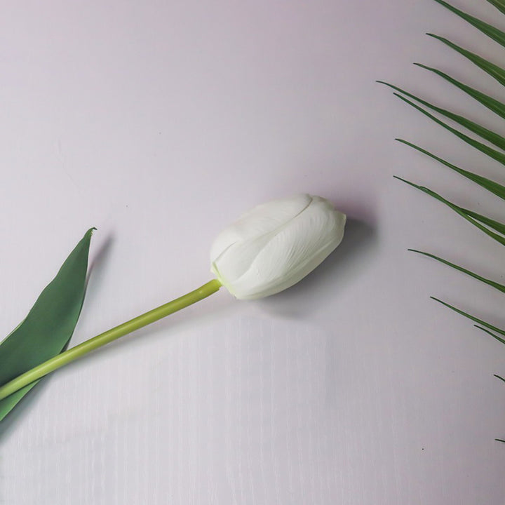 Realistic Tulip Flower Stem