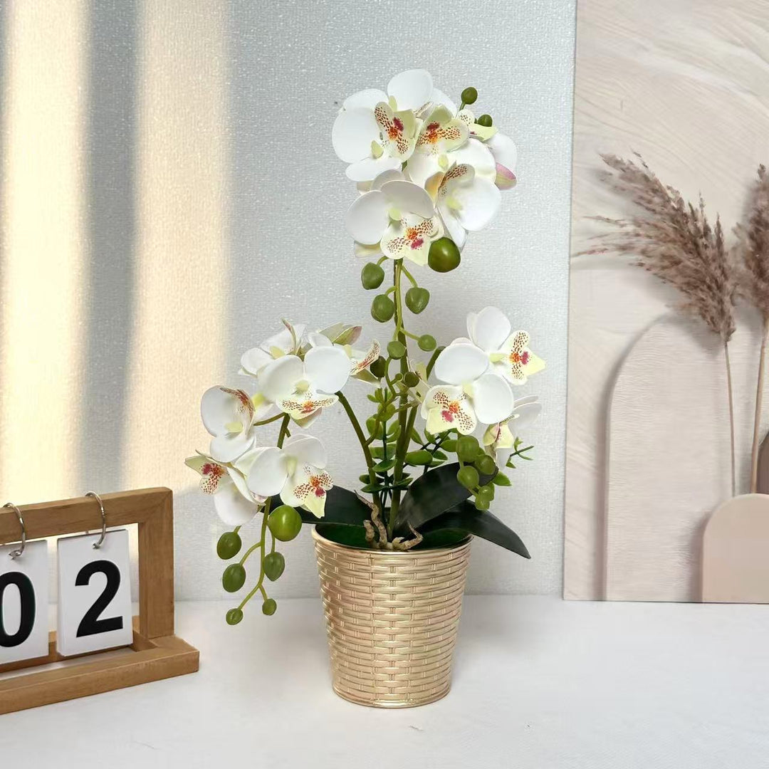 Decorative Orchid Plant for Tabletop Home Decor