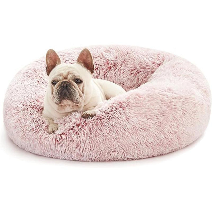 Cozy Dog Bed