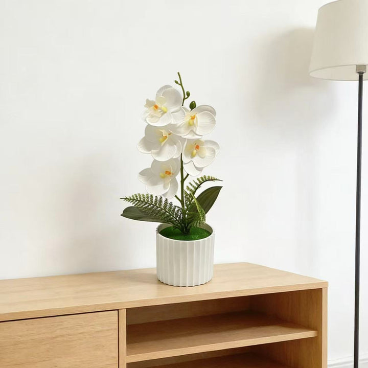 Decorative Orchid Plant Arrangement 1790480742 for Decor