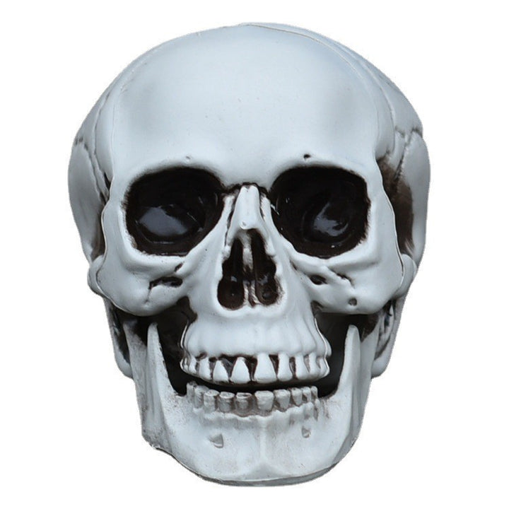 Decorative Realistic Skull Figurine Stornfield