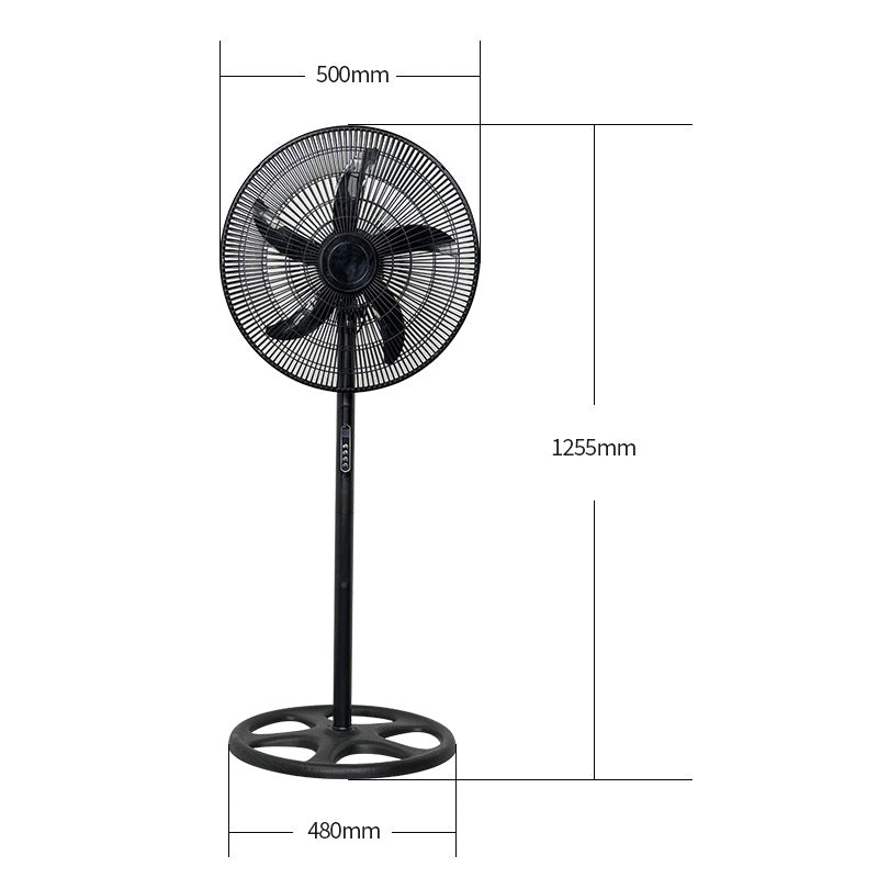 Ladies Stand Fan Stornfield