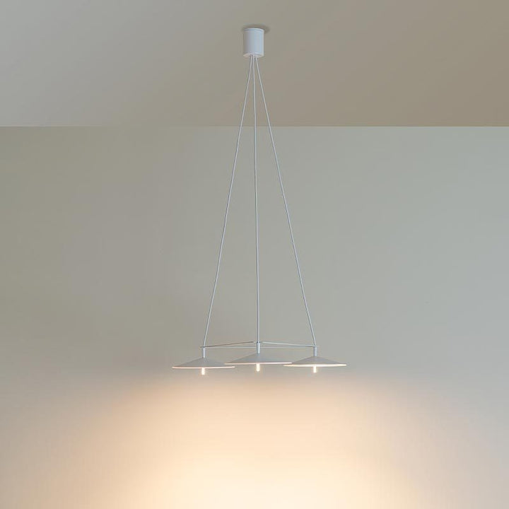 Contemporary Curved Pendant Light