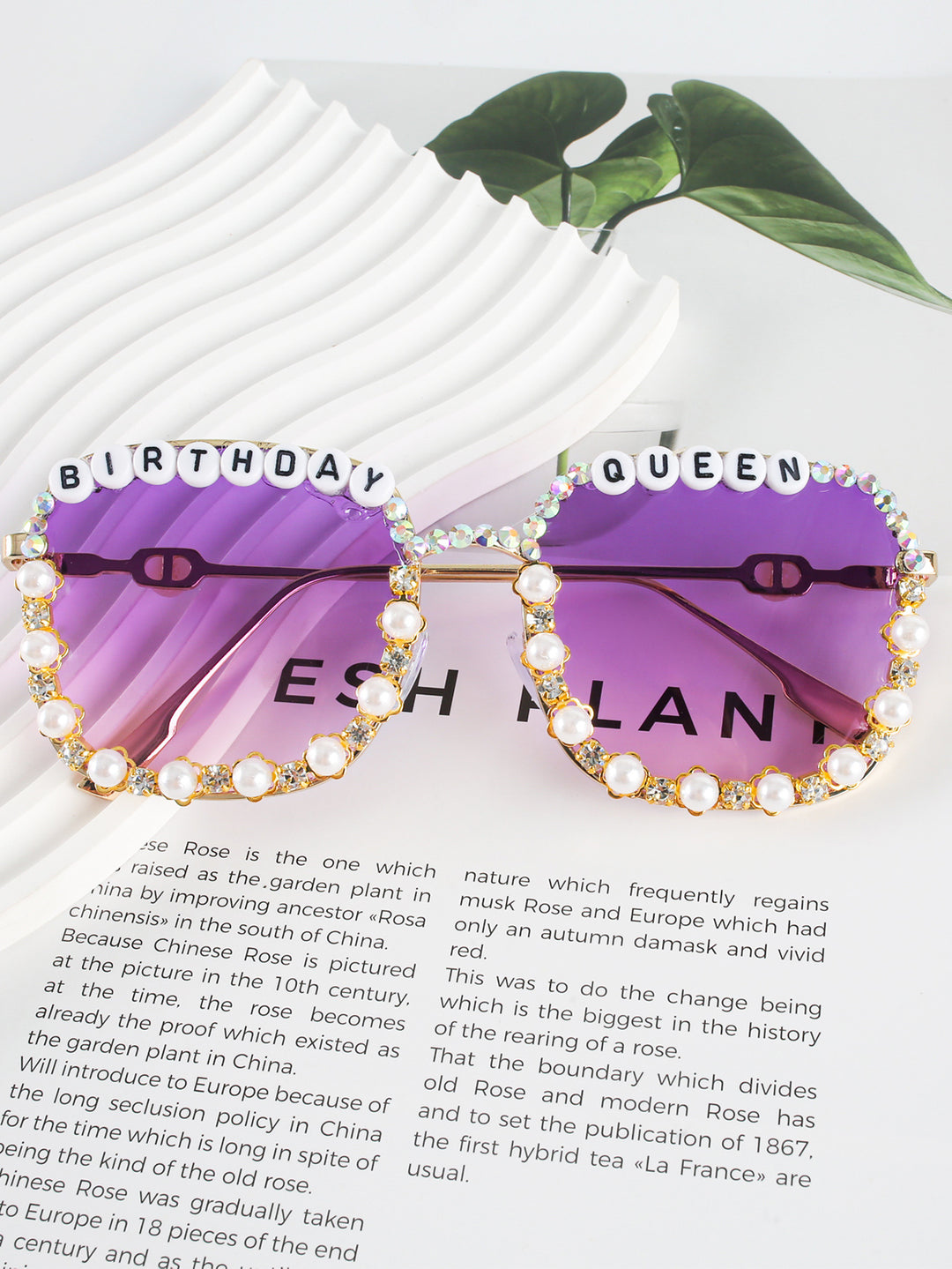Fashion Sunglasses Stornfield