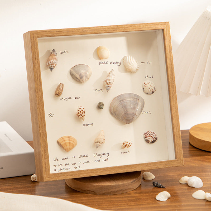 Decorative Shells Display Frame for Home
