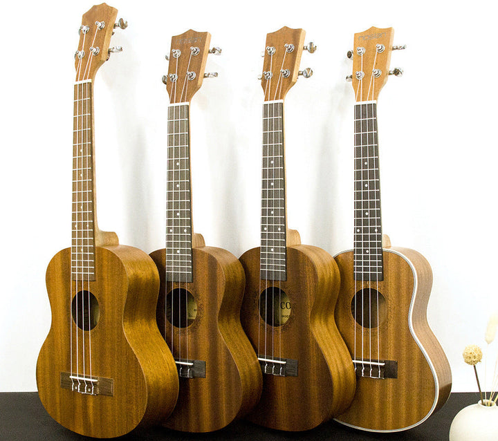 Rainbow Acoustic Ukulele Stornfield
