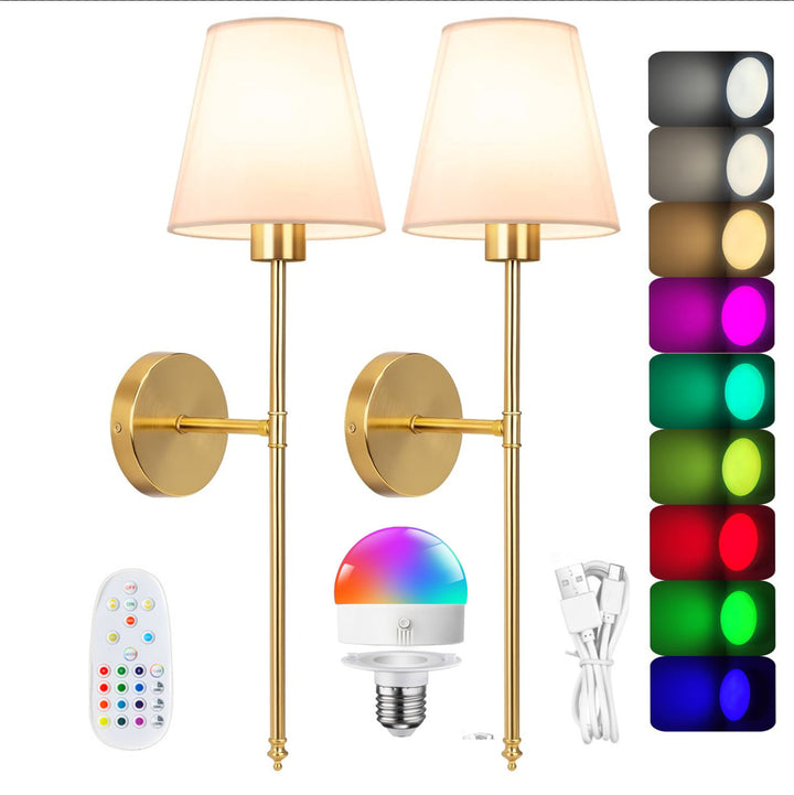 Chic Modern Wall Sconce