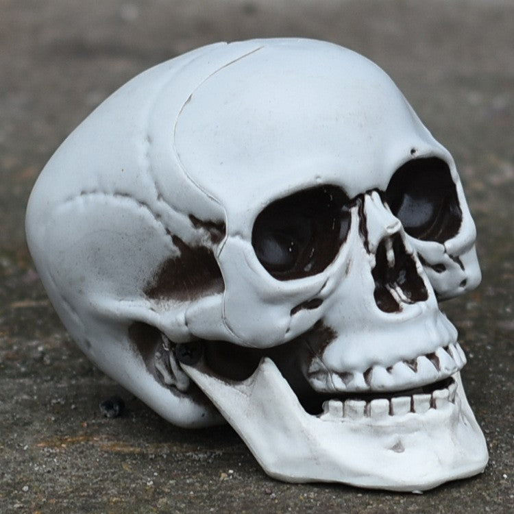 Decorative Skull Phone Stand Stornfield