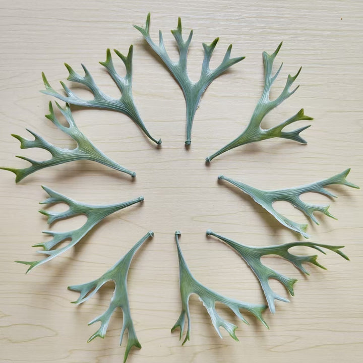 Decorative Botanical Leaf Stem