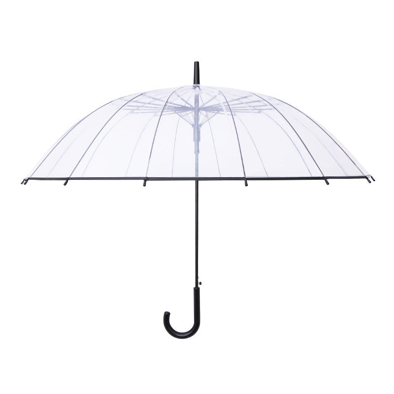Women Transparent Design Folding Umbrella Stornfield