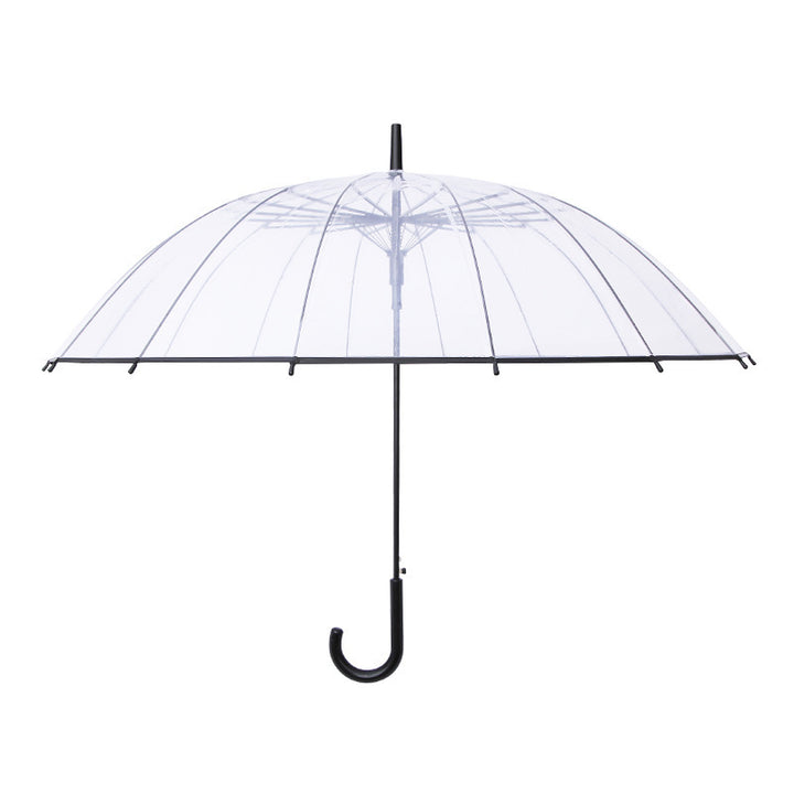 Women Transparent Design Folding Umbrella Stornfield