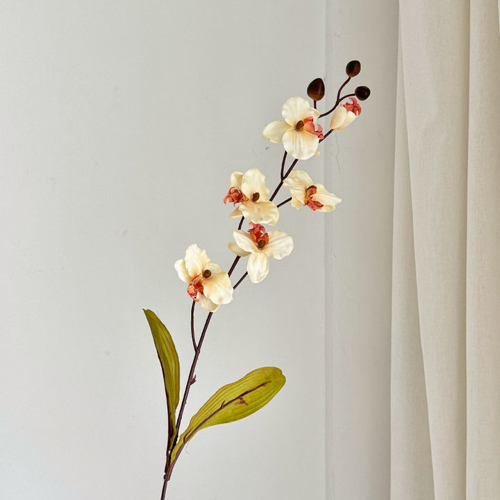 Artificial Orchid Bouquet Stornfield