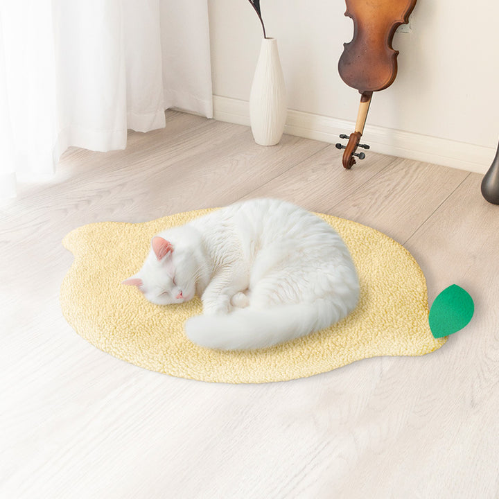 Ladies Fluffy Blanket Stornfield