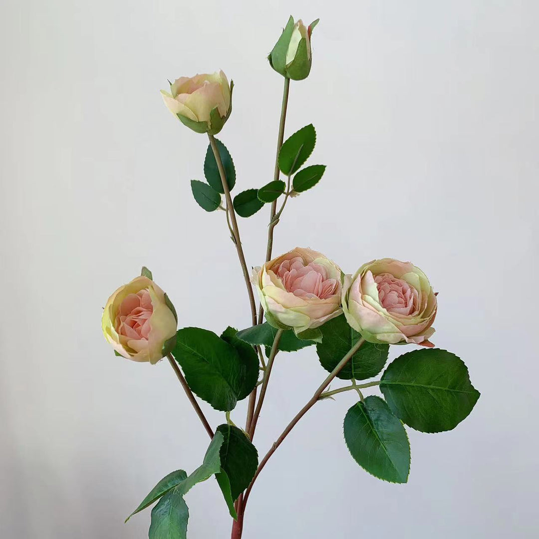 Realistic Garden Rose Stem