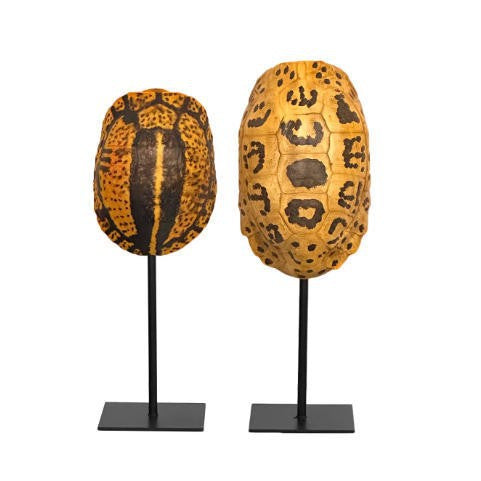 Unique Decorative Turtle Shell Sculpture