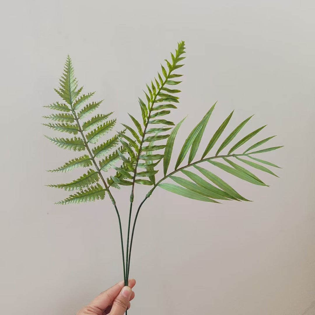 Tropical Palm Leaf Stem