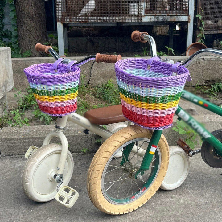Multi-Color Handwoven Storage Basket Stornfield