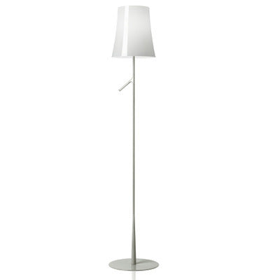 Contemporary Floor Lamp with Modern Design