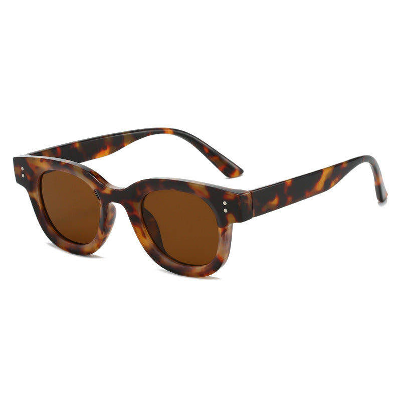 Women's fashionable sunglasses in timeless tortoiseshell pattern Stornfield