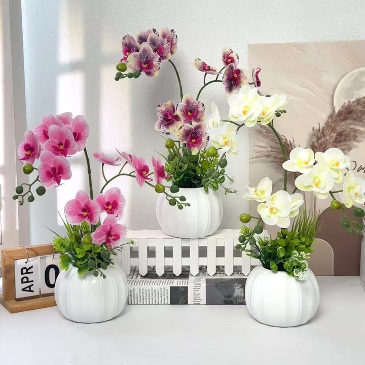 Decorative Orchid Arrangement